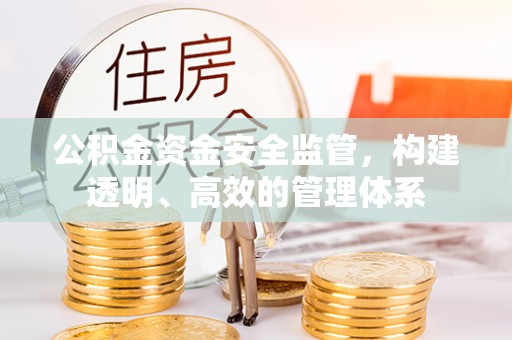 龙亭公积金资金安全监管，构建透明、高效的管理体系